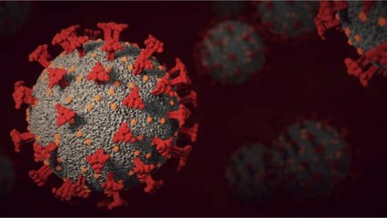 Une infection au Covid-19 favoriserait les maladies cardiovasculaires