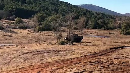 Armée de terre : les 20 premiers « Jaguar »