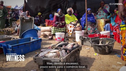 "O peixe está podre" no Senegal e a culpa - dizem - também é da União Europeia