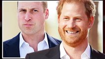 Harry beats William! Prince steals a major win as Sussex fans gloat over popularity