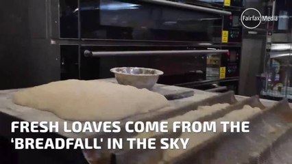 A LOOK INSIDE HARRIS FARM