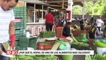 ¿POR QUÉ EL NOPAL ES UNO DE LOS ALIMENTOS MÁS VALIOSOS?