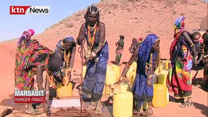 MARSABIT HUNGER PANGS: How many continue to lose their source of livelihood due to severe drought