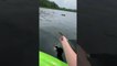 Loon Takes Fish Out of Kayaker's Hand