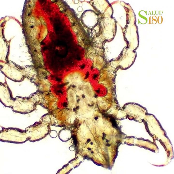 6 errores al maquillarte que te suman años | Salud180