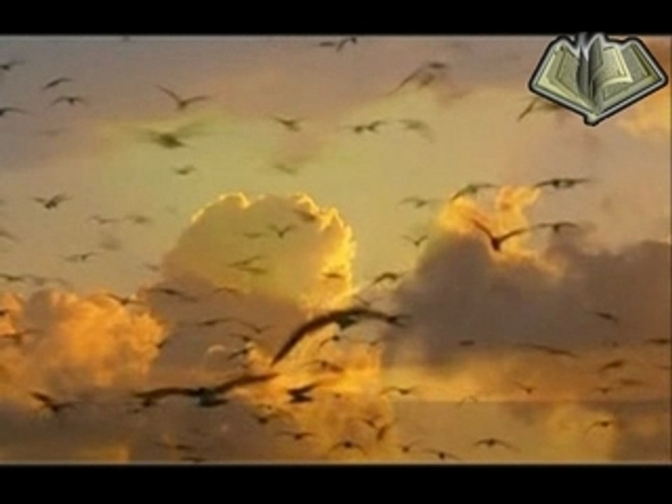 دعاء الشيخ العجمي Douaa Cheikh Alajmy