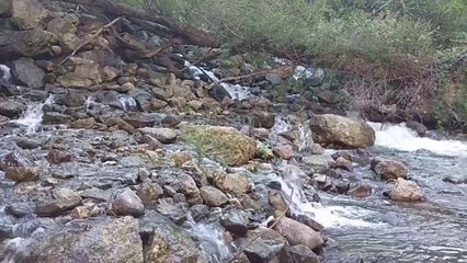 STUNNING SCENE OF RAIN AND BEAUTIFUL SCENE