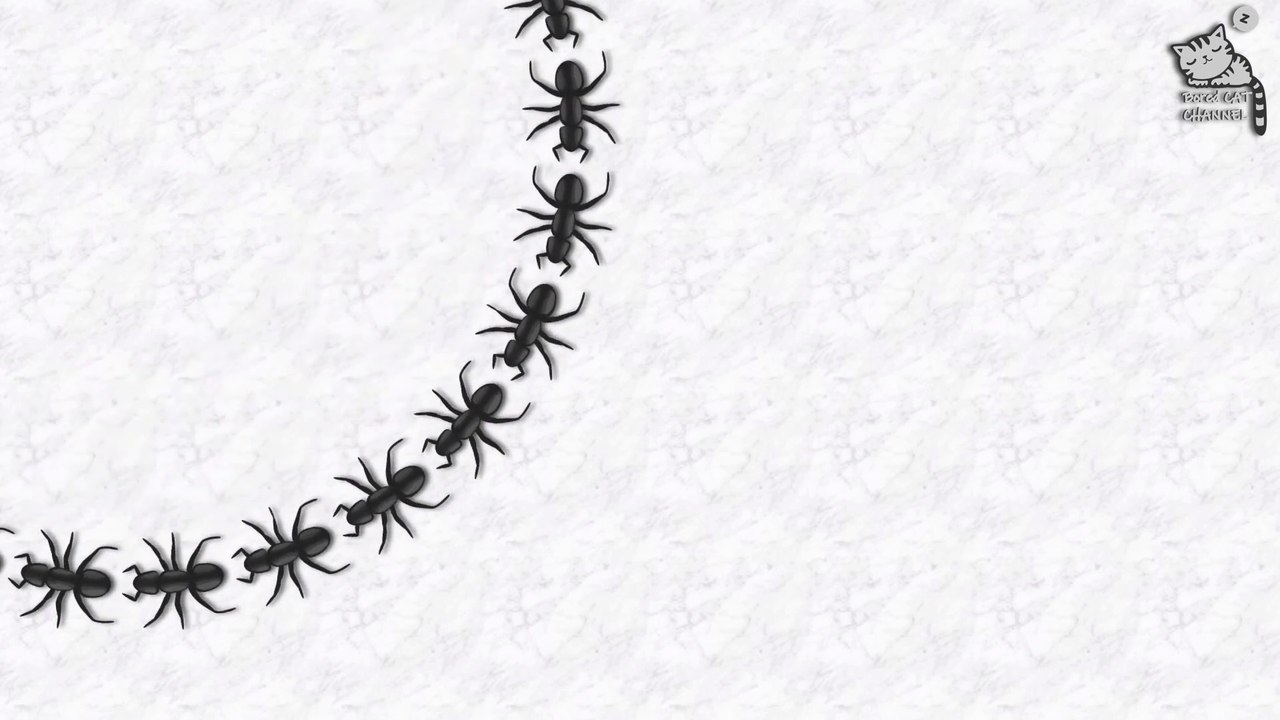 Cat Game - Kingdom of Ants _ لعبة للقطط - مملكة النمل