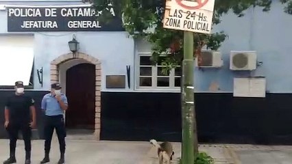 Piden justicia para Cintia Aranda