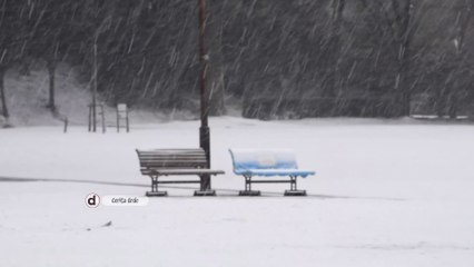 雪情報　東京都　多摩市　多摩センター　2022年2月10日　午後 Tokyo Heavy Snowfall in Tama Center Tama Prefecture  10 February 2022