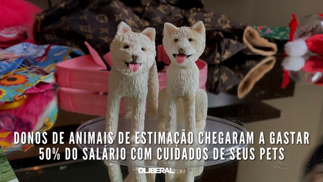 Donos de animais de estimação chegaram a gastar 50% do salário com cuidados de seus pets