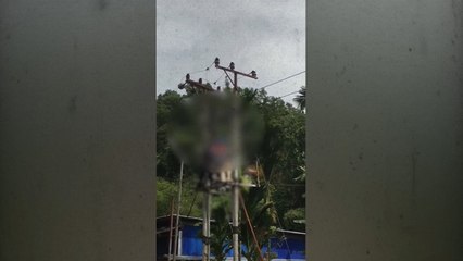 Pekerja Mitra PLN Terjatuh saat Pengecekan Jaringan Listrik hingga Bergelantungan
