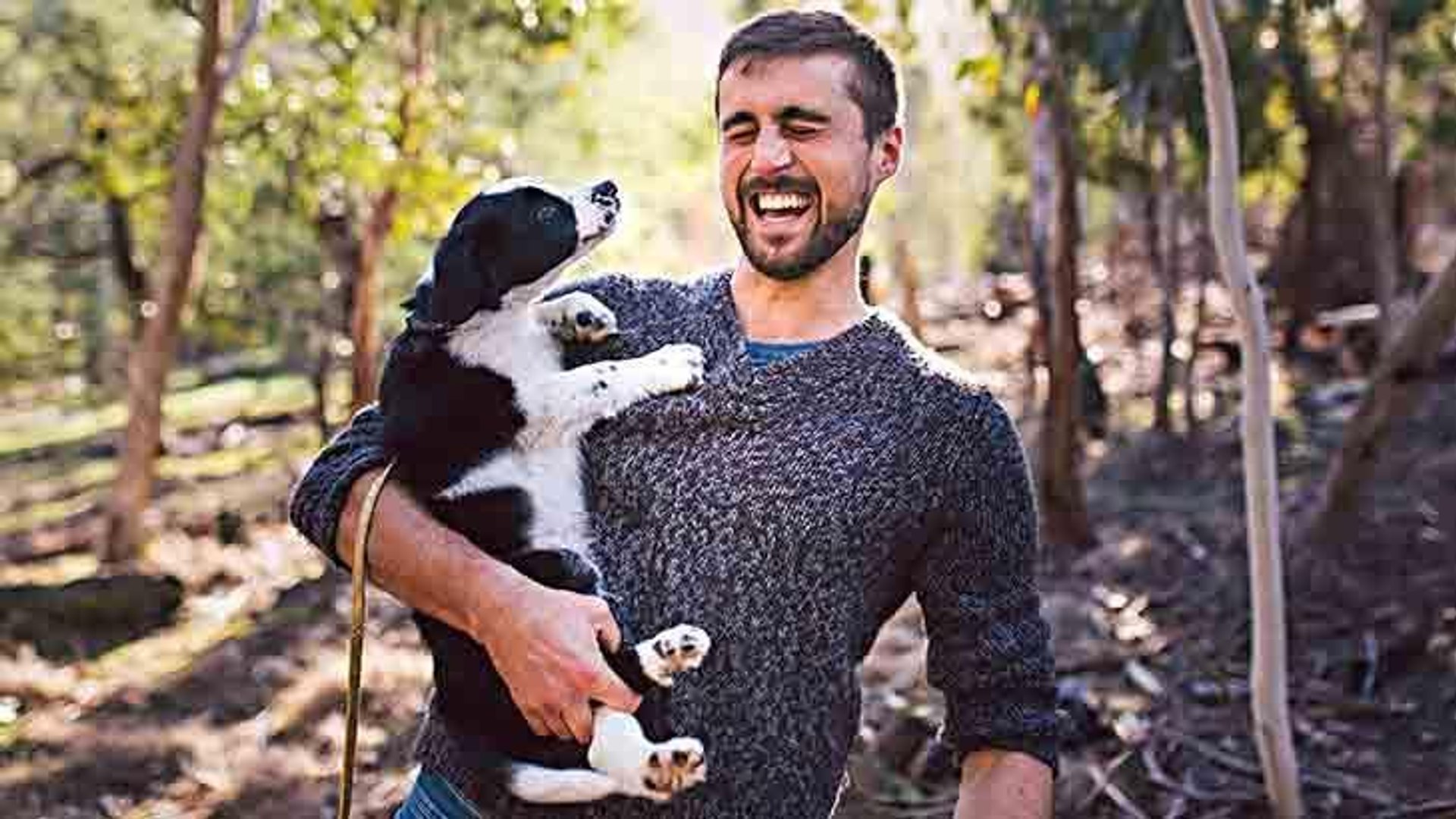 ⁣Scientists use puppy to track endangered owls