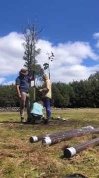 Researchers uncover evidence of palawa land management in the North-West