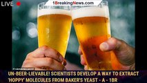 Un-beer-lievable! Scientists develop a way to extract 'hoppy' molecules from baker's yeast - a - 1BR