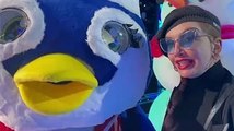 Il cantante mascherato nuova edizione, chi è il Pinguino Può essere un amante del caldo Stasera f