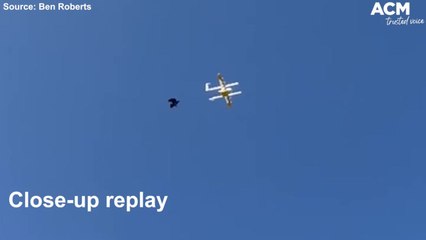 Bird attacks delivery drone in Canberra | September 22, 2021 | Canberra Times