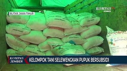 Anggota Kelompok Tani Selewengkan Pupuk Bersubsidi