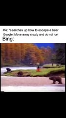 Bear's Kung Fu skill uses when he is in any trouble or problem, Watch till end.