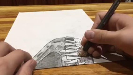 BALLARAT - St Patrick's College Jurasic Park video