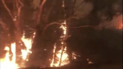 Dunns Road fire from Batlow-Tumbarumba Road - footage supplied by RJ Healy