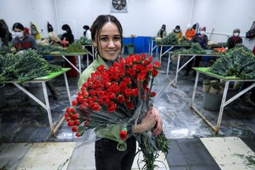 ANTALYA'DAN AVRUPALI SEVGİLİLERE 65 MİLYON DAL ÇİÇEK