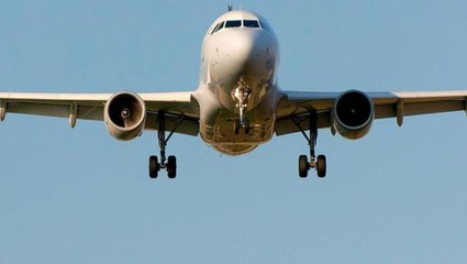 Havada büyük panik! Aniden beliren yılan, uçağa acil iniş yaptırdı