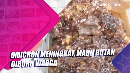 Omicron Meningkat, Madu Hutan Diburu Warga