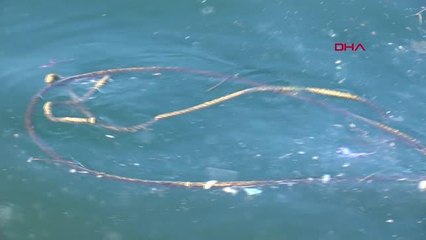 KADIKÖY'DE DENİZE DÜŞEN 2 KADIN HALATA BAĞLANARAK KURTARILDI