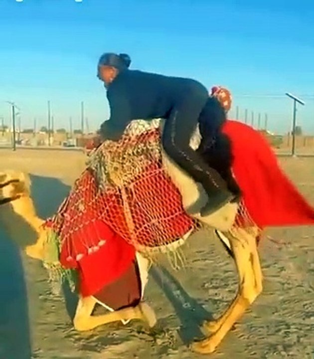 فيديو "طريف" للفنانة هيا الشعيبي وهي تركب الجمل
