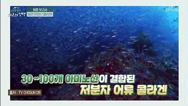 회춘의 비결! 흡수율이 높은 『저분자 콜라겐 펩타이드』 TV CHOSUN 20220212 방송