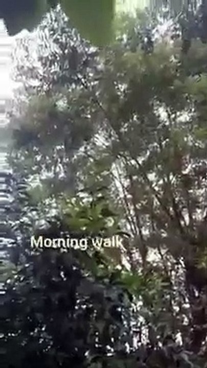 morning walk MashAllah #morning walk __ morning walk