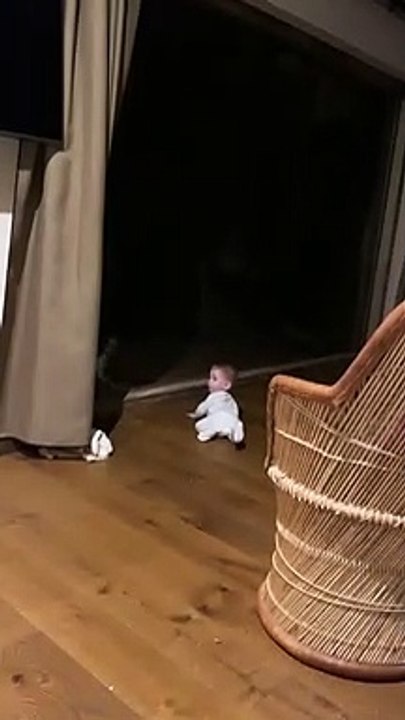 Cheetah Slams Into Window While Charging at Unsuspecting Baby