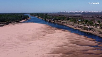 Estudo científico conclui que rios estão poluídos com medicamentos
