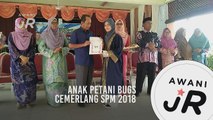 #AWANIJr: Anak Petani BuGS Cemerlang SPM 2018
