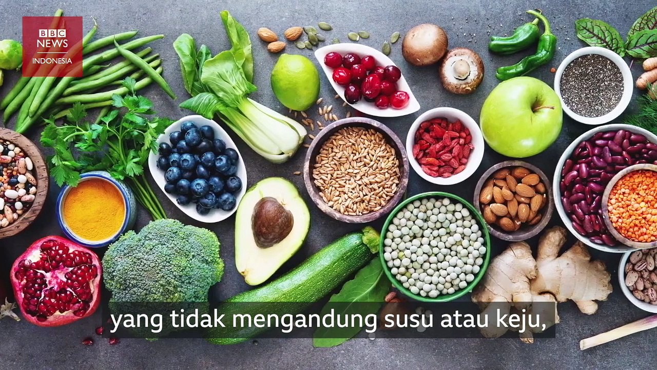 Eksperimen Diet Sehat Pada Anak Kembar Identik, Vegan vs Daging