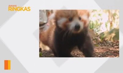 AWANI Ringkas (9:00AM)