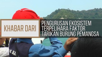 Khabar Dari N.Sembilan: Pengurusan ekosistem terpelihara faktor tarikan burung pemangsa
