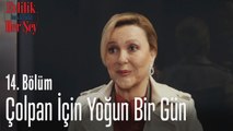 Çolpan için yoğun bir gün - Evlilik Hakkında Her Şey 14. Bölüm