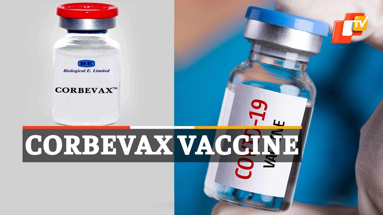 COVID Vaccine: Top Official On 3rd Indigenous Vaccine Corbevax