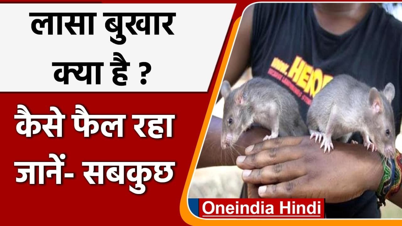Lassa Feve: लासा बुखार क्या है, कैसे फैलता है ? जानें- सबकुछ | वनइंडिया हिंदी