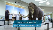 Abre sus puertas el  Museo del Mamut, visitantes tendrán una experiencia inmersiva