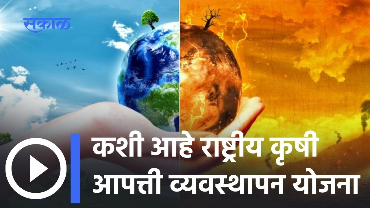 बदलत्या हवामानाशी करणार सामना । NICRA । Agrowon