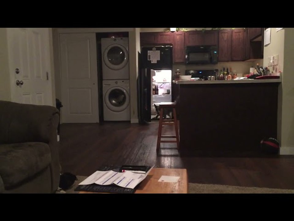 Clever Dog Has Drink Delivery Routine Down Pat