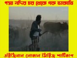 পদ্মা নদীর চর থেকে গরু ডাকাতি | Cow robbery from Padma river island | Shaaticup | শাটিকাপ