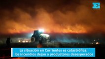 La situación en Corrientes es catastrófica: los incendios dejan a productores desesperados