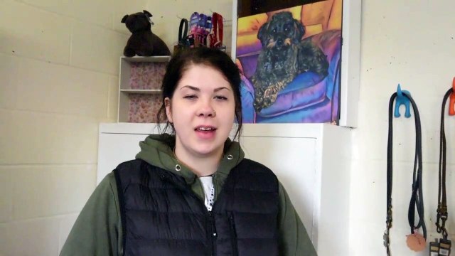 Canine Companions, Wigan