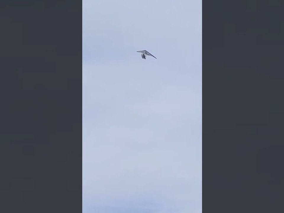 Flying Boat Glides Over Lake