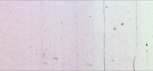 Dentes & Garras 2 Official Teaser Trailer