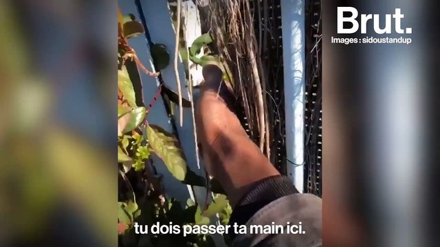 Le quotidien d'un chauffeur-livreur Colissimo, loin des clichés